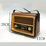 رادیو گولون RX-BT89 - Image 2